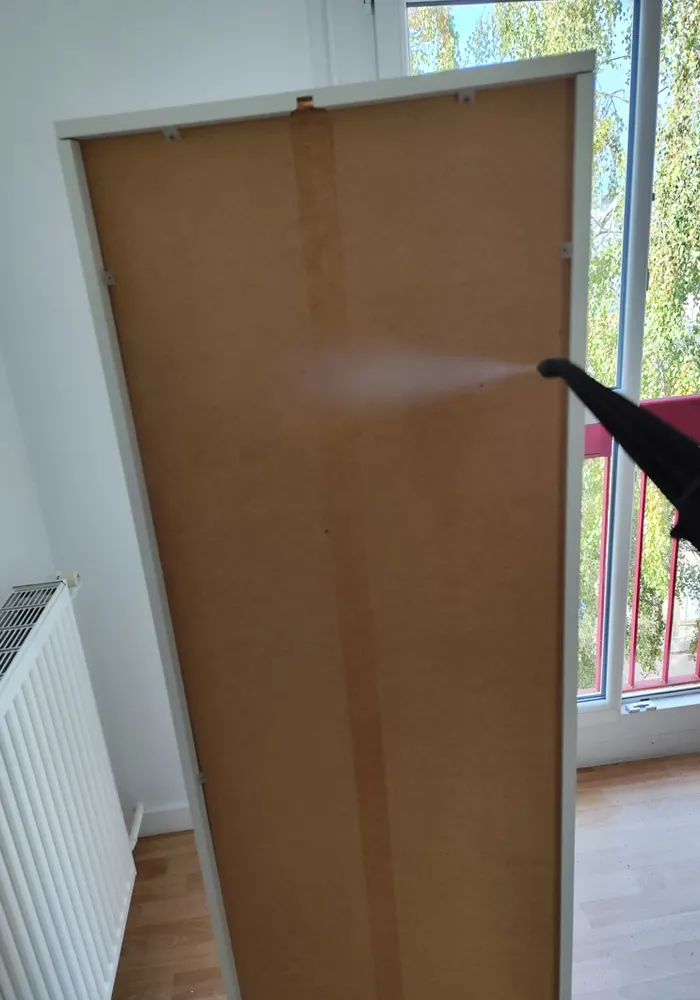 Traitement professionnel des punaises de lit à la vapeur haute température au Mans