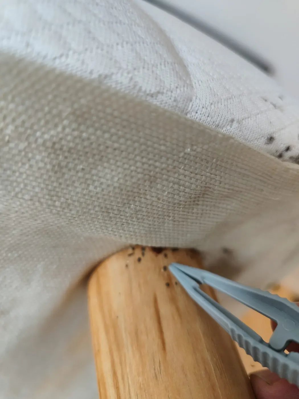 Vérification d'un angle de matelas à la recherche de punaises de lit