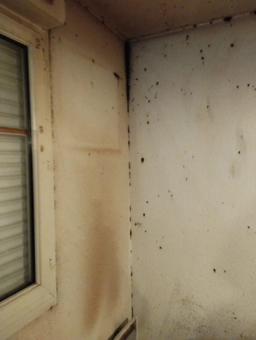 Progression des punaises de lit dans un angle de mur
