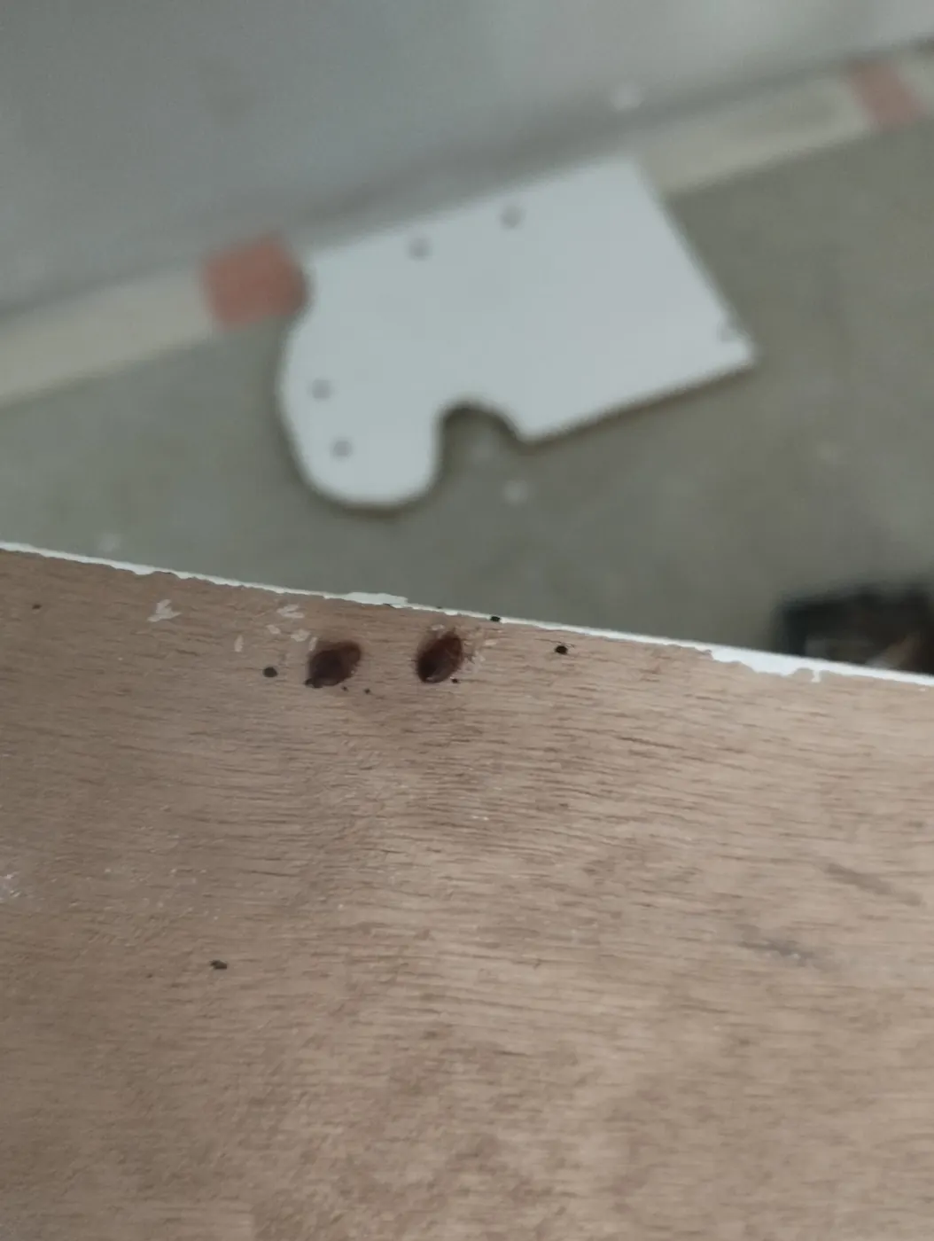 Traces de punaises de lit sur un meuble